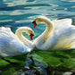 Swans in Water Pond Paint by Numbers