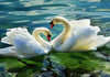 Swans in Water Pond Paint by Numbers