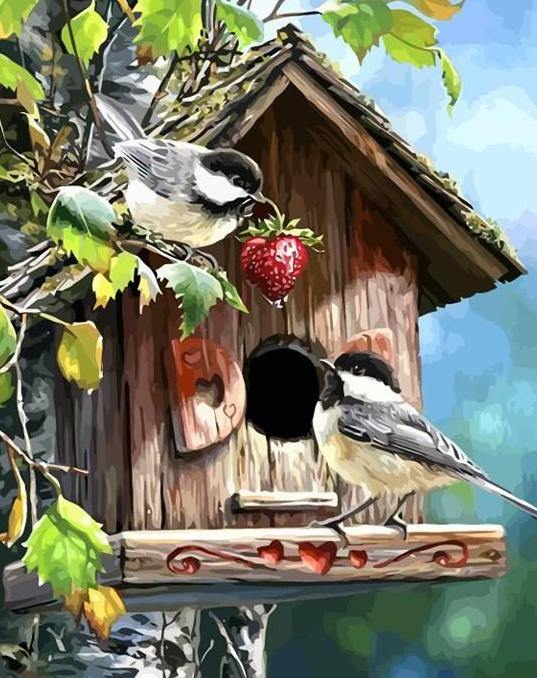 Birds House Paint by Numbers