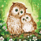Owl Paint by Numbers Kit