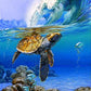 Swimming Turtle Paint by Numbers