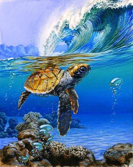 Turtle Swimming In Blue Water Paint by Numbers - Paint My Numbers