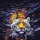 Swimming tiger Paint by Numbers