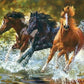 Horses DIY Painting Kit