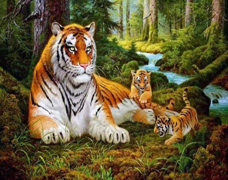 Tigers Paint by Numbers