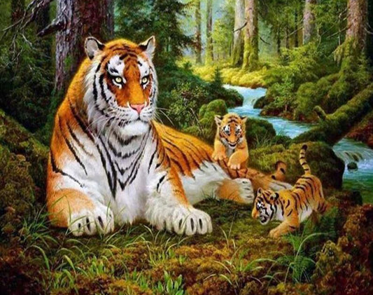 Tigers Paint by Numbers