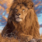 Lion Paint by Numbers Kit