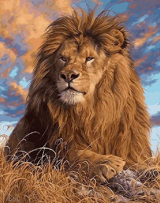 Lion Paint by Numbers Kit