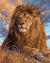 Lion Paint by Numbers Kit
