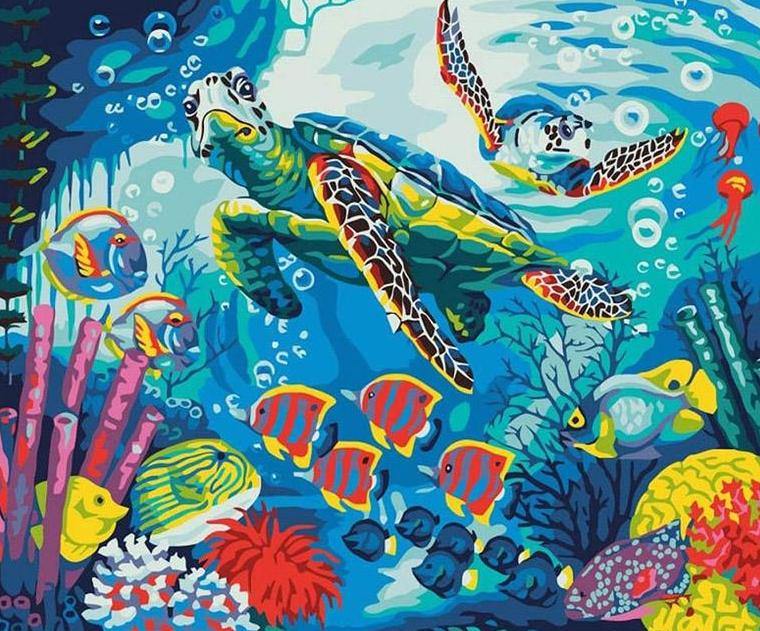 Turtles & Fish Paint by Numbers