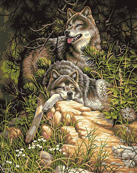 Painting Number Adults Wolves, Wolves Pictures Numbers