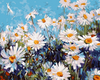 White Daisies Paint by Numbers