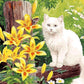Cat & Yellow Flowers Paint by Numbers