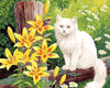 Cat &amp; Yellow Flowers Paint by Numbers