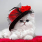 Cat with Hat Paint by Numbers