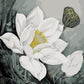 White Floral Art Paint by Numbers
