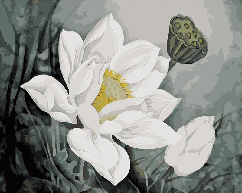 White Floral Art Paint by Numbers