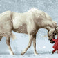 Horse & Snow Paint by Numbers
