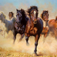 Wild Horses Paint by Numbers