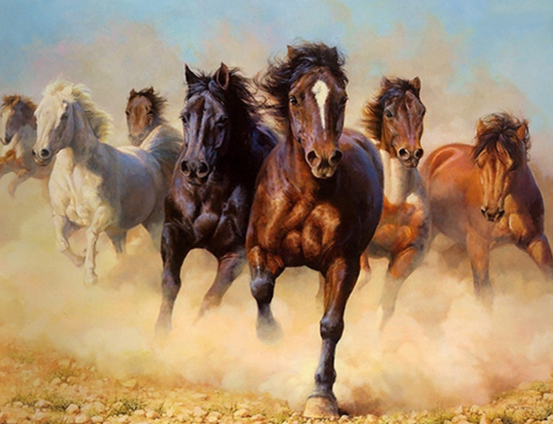 Wild Horses Paint by Numbers