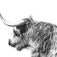 Wild Yak Paint by Numbers