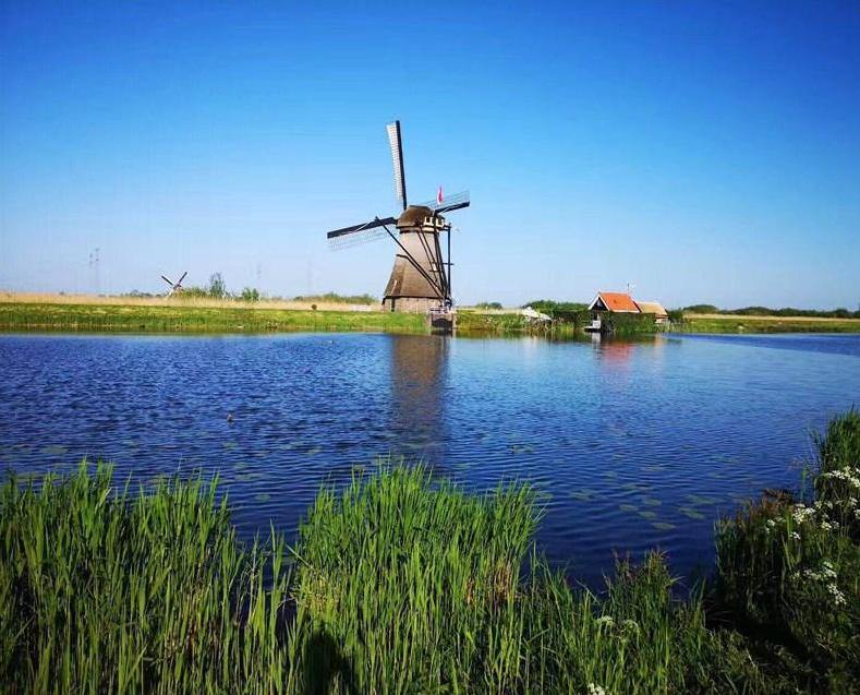 Windmill Painting by Numbers