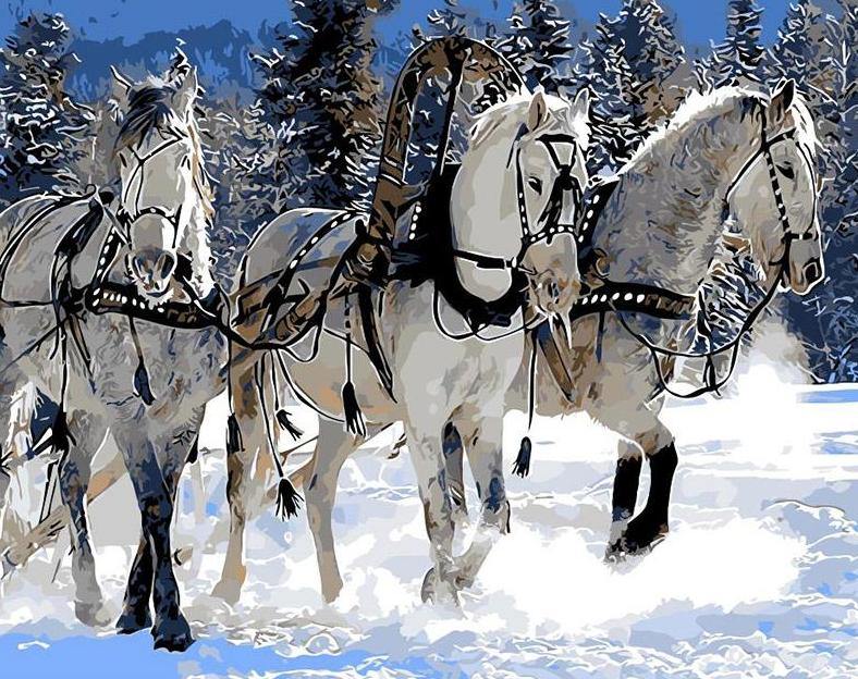 Winter Horses Paint by Numbers