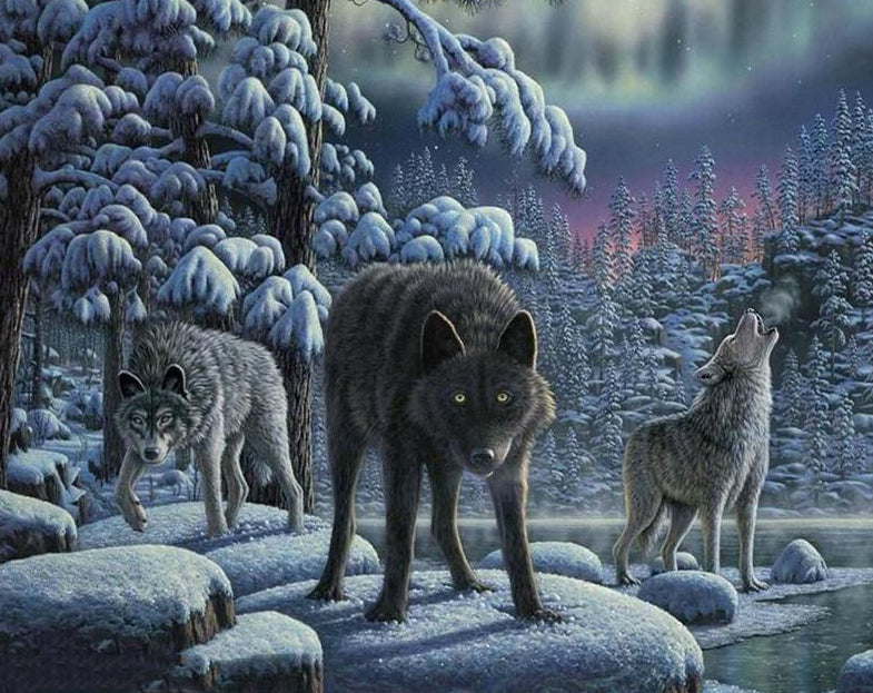 Wolves Howling Paint by Numbers