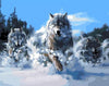 Snow Wolves Paint by Numbers