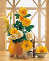 Yellow &amp; White Roses Paint by Numbers