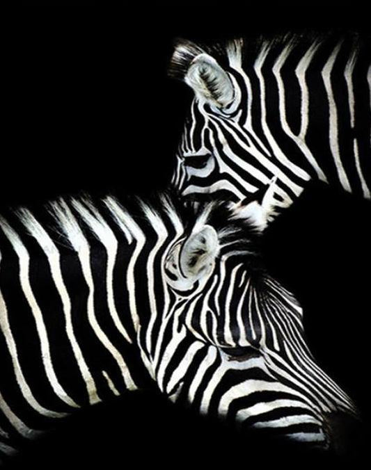 Zebras Pair Paint by Numbers
