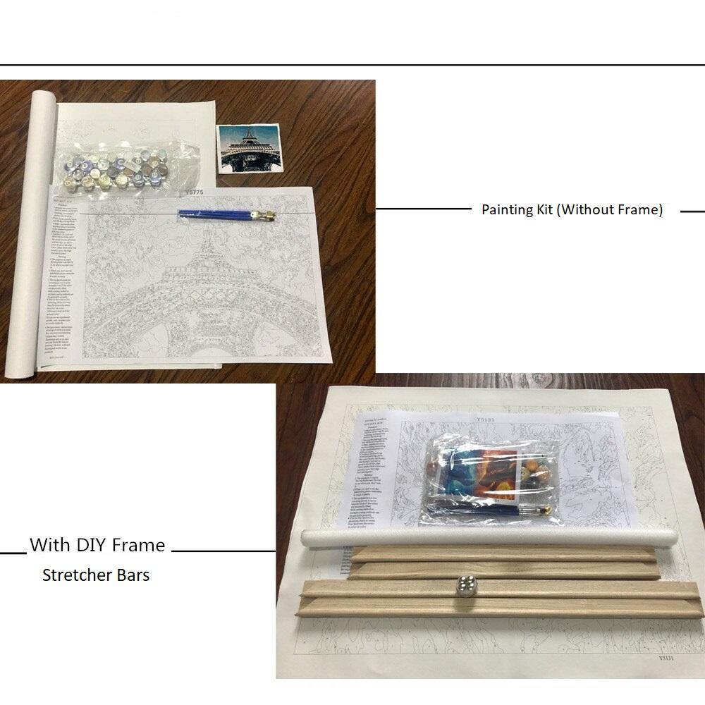 Eiffel Tower View from Paris Street [USA SHIPPING] - Paint by Numbers Home